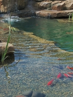 ������������� ������ - ���� 2