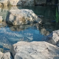 ������������� ������ - ���� 4